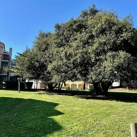 L'archipel De Apartment