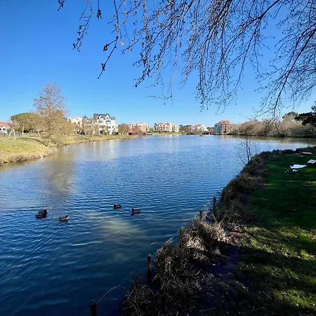 L'archipel De * Talmont-Saint-Hilaire