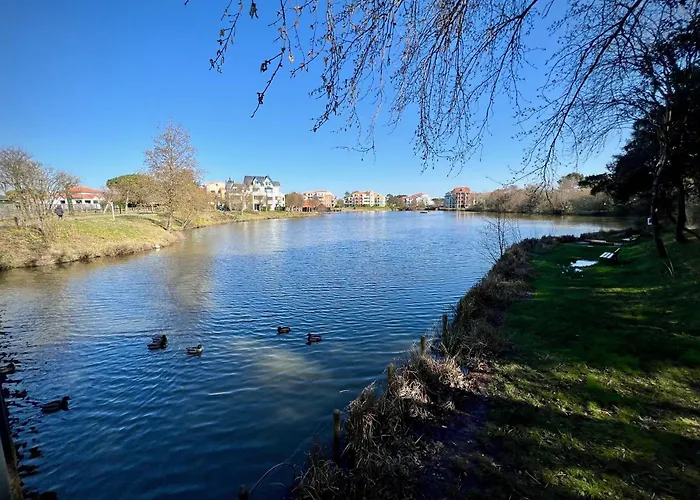 L'archipel De * Talmont-Saint-Hilaire