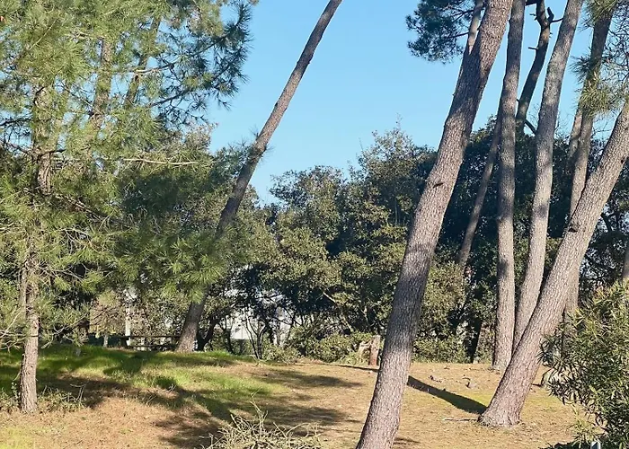 Apartman L'archipel De *