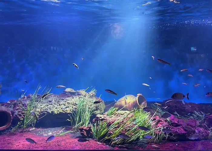 L'archipel De Talmont-Saint-Hilaire