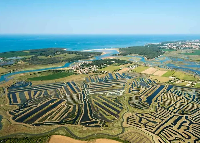 Apartman L'archipel De *